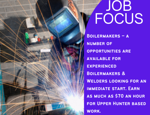 Job Focus |  Boilermakers & Welders